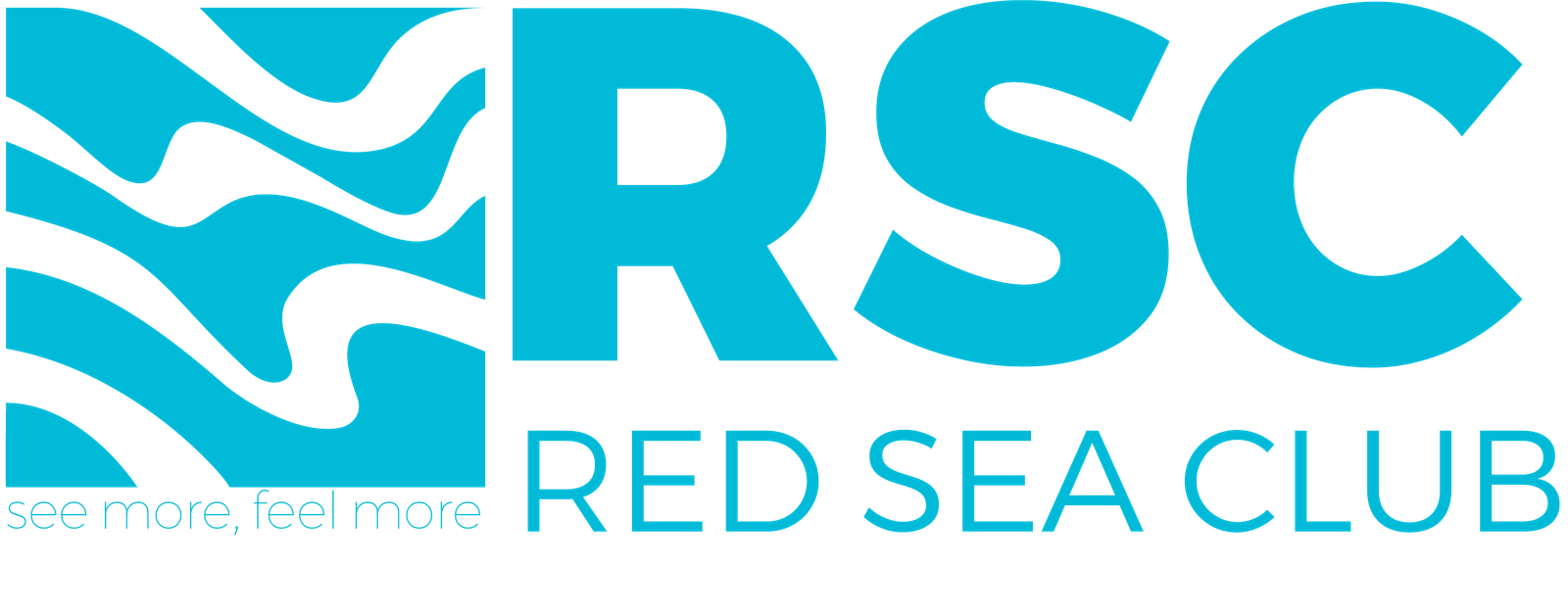 rsc logo